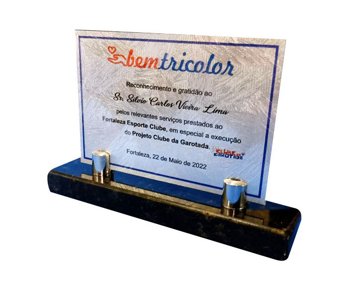 Troféu retangular, acrílico 15x10cm, textura prata, base de granito title=